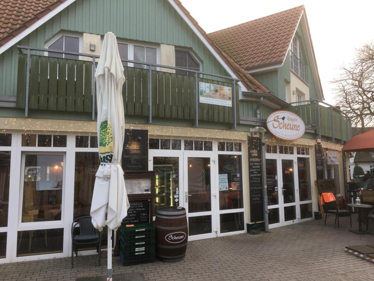 Doppelhaushaelfte Birkenstrasse 5E Villa Zingst Dış mekan fotoğraf