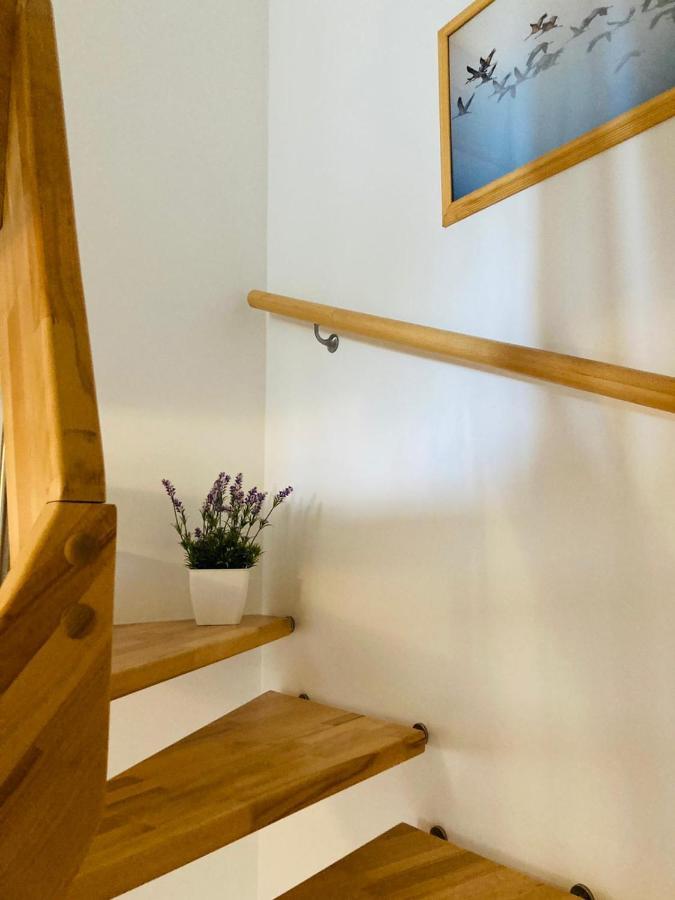 Doppelhaushaelfte Birkenstrasse 5E Villa Zingst Dış mekan fotoğraf