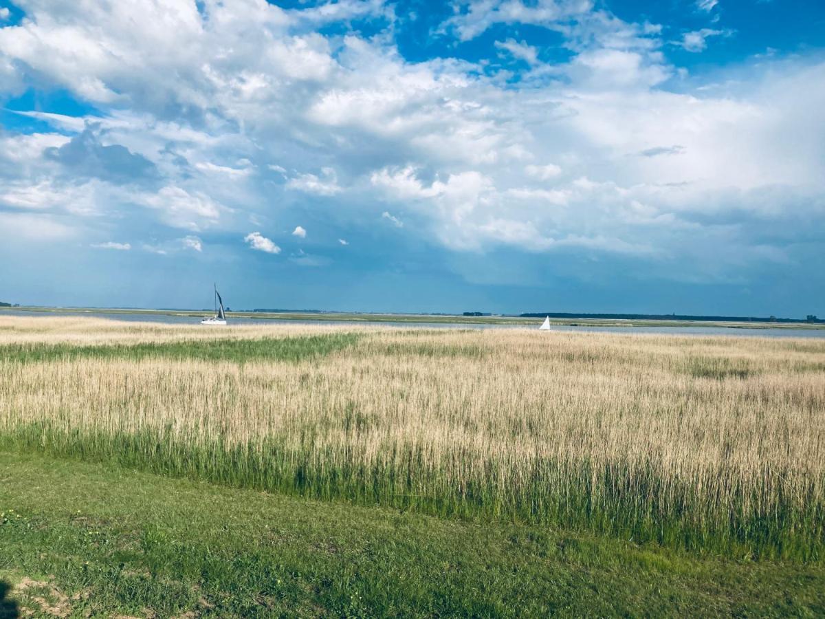 Doppelhaushaelfte Birkenstrasse 5E Villa Zingst Dış mekan fotoğraf