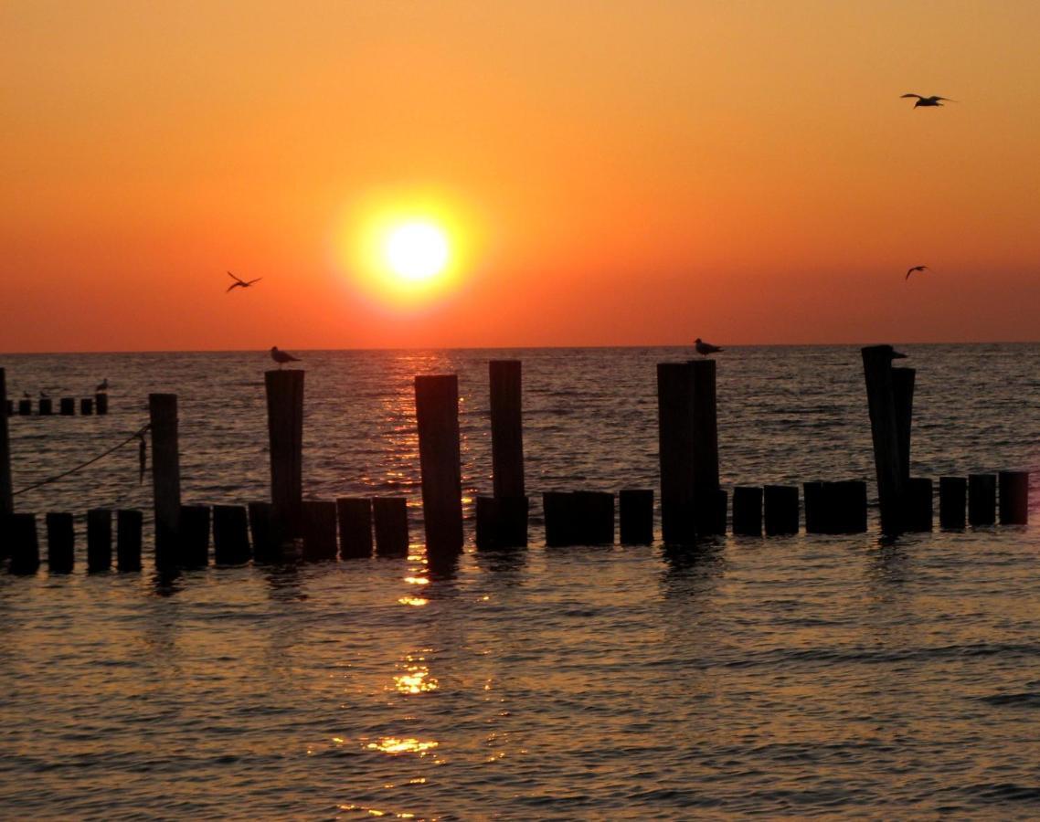 Doppelhaushaelfte Birkenstrasse 5E Villa Zingst Dış mekan fotoğraf